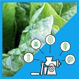Lexen healthy juicer white chart