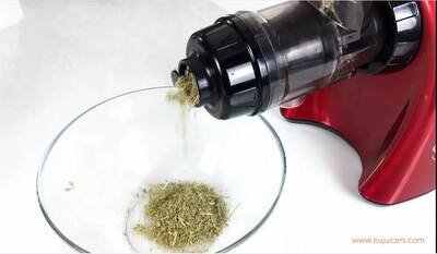 grinding herbs 1
